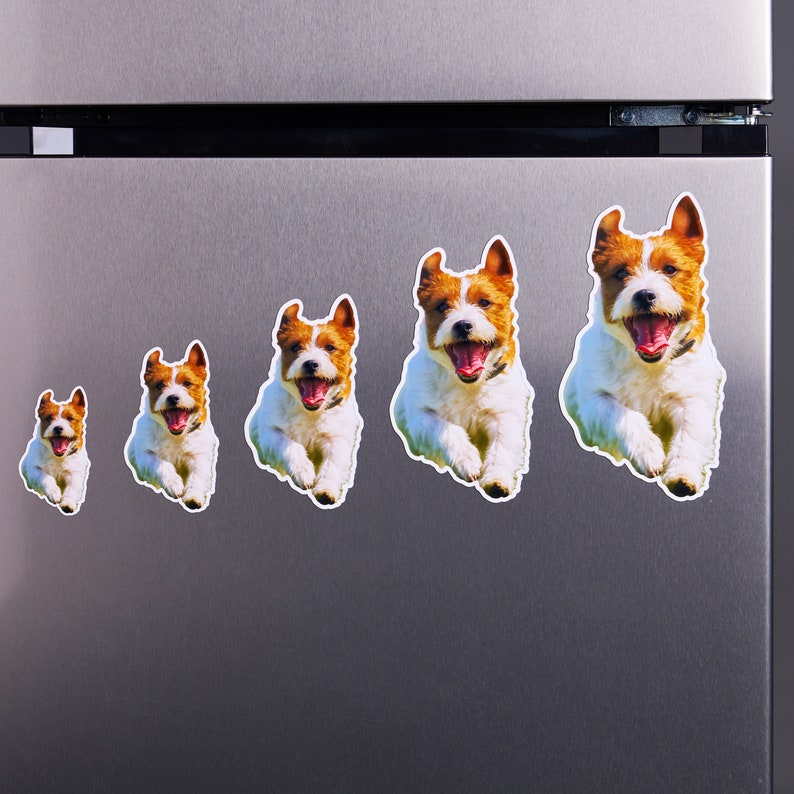 May include: Five different sized magnets featuring a white and brown dog with its tongue sticking out, running towards the right side of the image. The magnets are on a silver refrigerator.