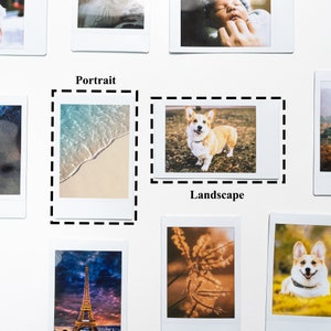 May include: A collage of Polaroid photos featuring a variety of subjects, including a beach scene, a dog, a baby, and a cityscape. The photos are arranged in a grid pattern on a white background.
