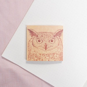 May include: A close-up of a brown owl with large, dark eyes. The owl is drawn in a vintage style on a beige background.