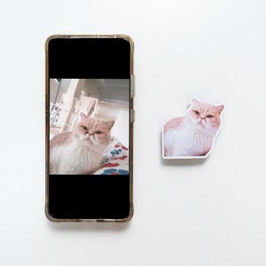 May include: A close-up of a white and orange cat with a grumpy expression. The cat is sitting on a bed with a colorful patterned blanket. The cat is looking directly at the camera.