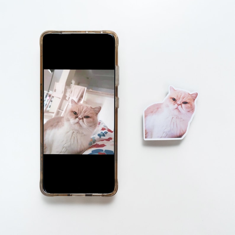 May include: A close-up of a white and orange cat with a grumpy expression. The cat is sitting on a bed with a colorful patterned blanket. The cat is looking directly at the camera.