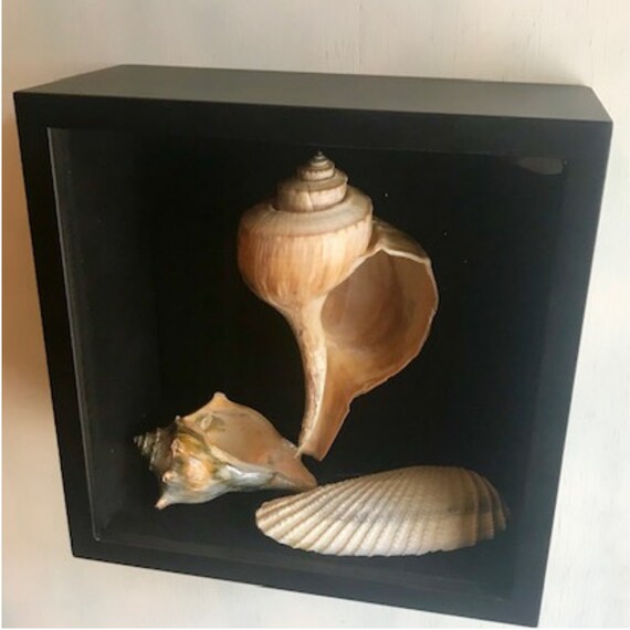 Nautical Shadow Box Nautical Wall Decor Shadow Box Coastal Etsy