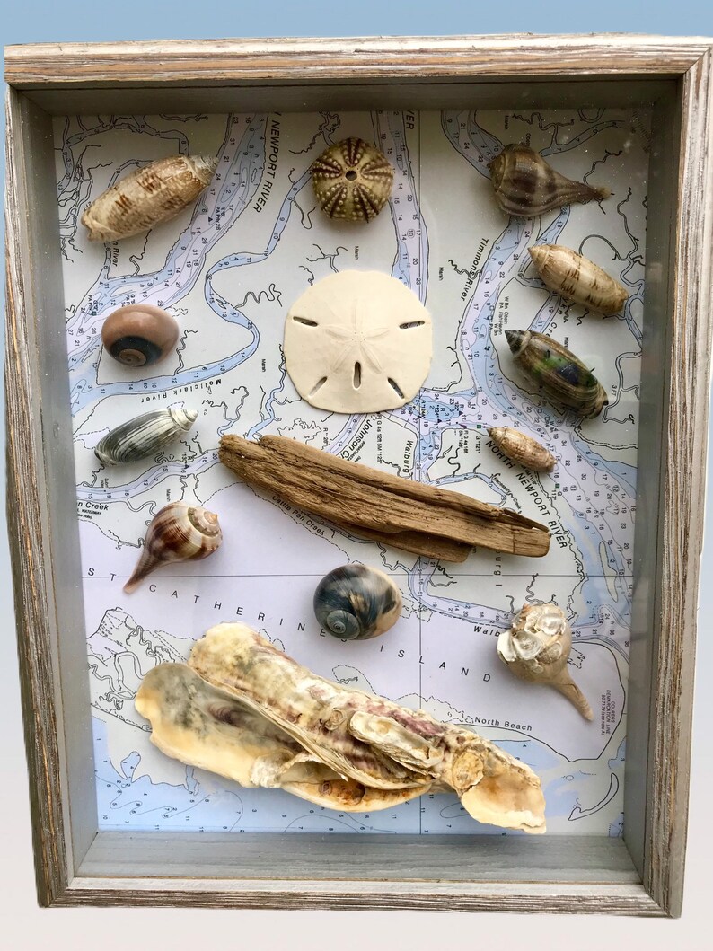 Nautical Shadow Box Nautical Wall Decor Coastal Wall Art Etsy