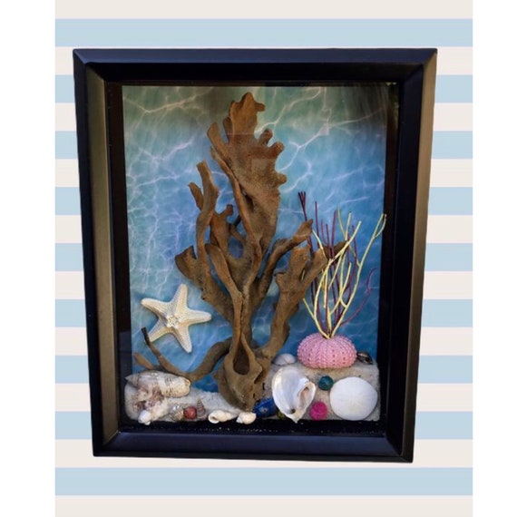 Nautical Shadow Box Nautical Wall Decor Shadow Box Coastal Etsy