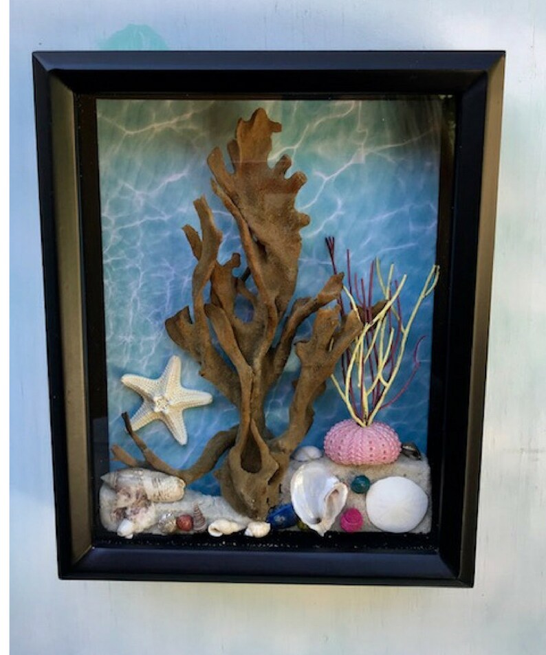 Nautical Shadow Box Nautical Wall Decor Shadow Box Coastal Etsy Australia