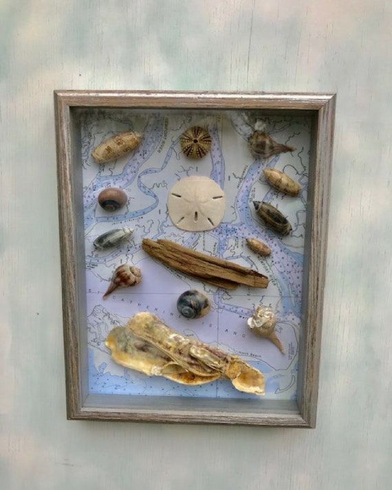 Nautical Wall Decor Shadow Box Coastal Art Seashell Pictures