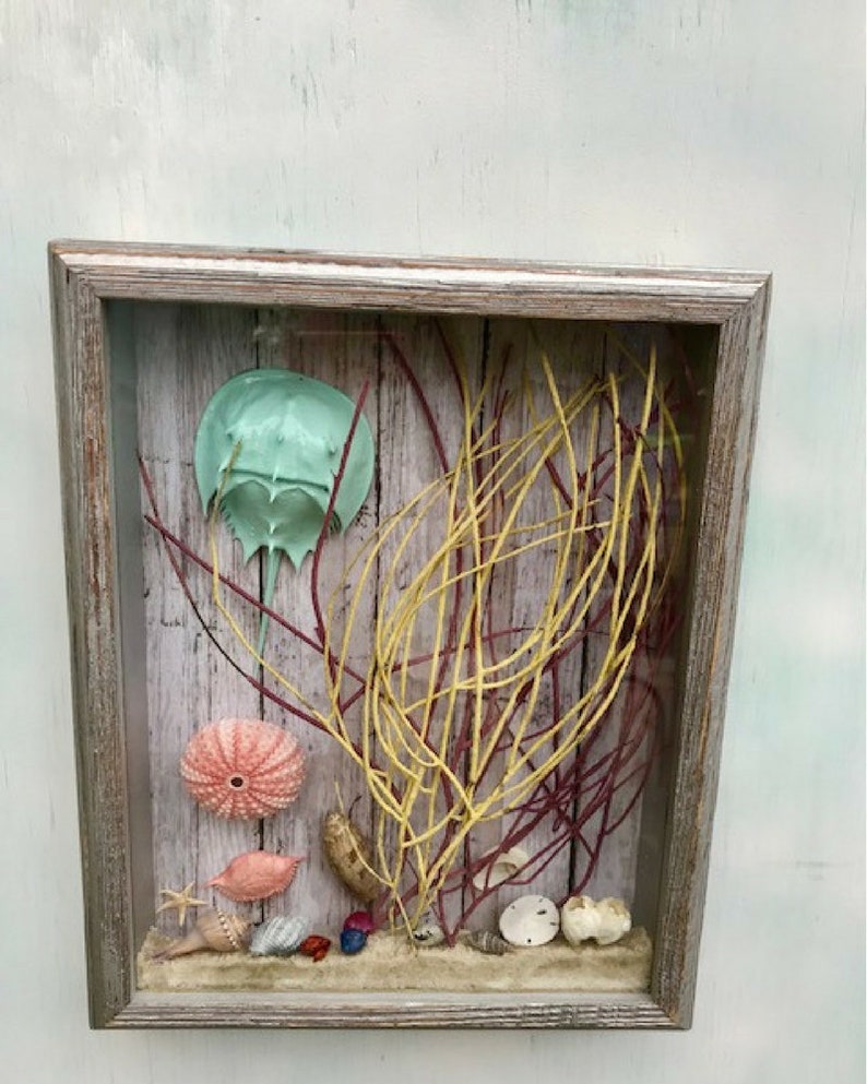 Nautical Wall Decor Shadow Box Coastal Art Pictures Seashell