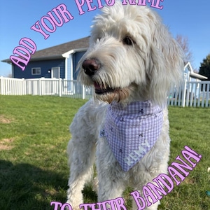 May include: A fluffy, cream-colored dog wearing a light purple gingham bandana with the name "Remy" on it. The bandana has small, dark purple bow tie designs. Text in the image reads "Add Your Pet's Name To Their Bandana!"