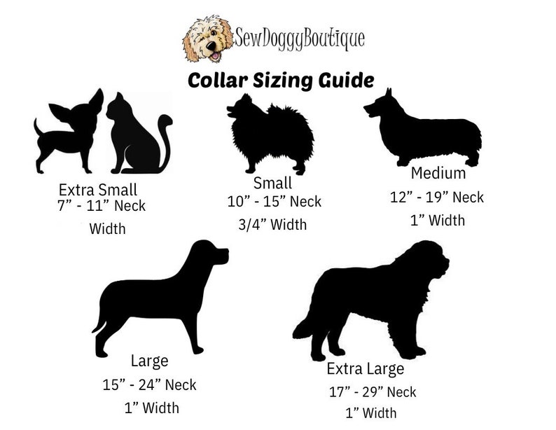 Pu&ograve; includere: Guida alle taglie dei collari per cani, che mostra diverse silhouette di cani con le corrispondenti misure del collo e larghezze in pollici. Le taglie includono extra piccola, piccola, media, grande ed extra grande.