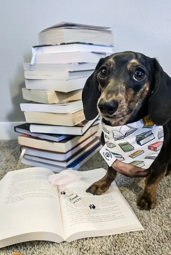 "Pet Me & Tell Me I'm Handsome" Dog Bandana - Flannel Triangle Scarf For Small Medium Dogs (Grey)
