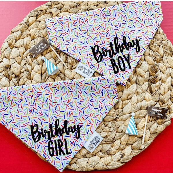 1st Birthday Bandana for Dogs Etsy