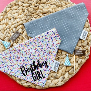 May include: Two triangular pet bandanas. One is grey with a white cross-stitch pattern and a Sew Doggy Boutique tag. The other is white with a colorful sprinkle pattern, the black text Birthday GIRL, and a Sew Doggy Boutique tag. Includes two party hats.