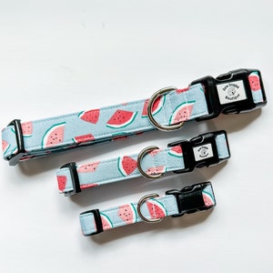 Watermelon dog collar, summer dog collar accessories, gifts for new puppy, gift for pet parent, watermelon gifts, summer gifts for dogs
