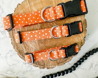 Orange polka dot dog collar, Bright dog collar, heavy duty dog collar unique collar, new puppy gift, dog mom gift, gift for dog