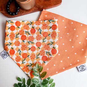 May include: Two dog bandanas. One bandana features a repeating pattern of orange slices and whole oranges on a white and orange checkered background. The other is solid orange with white polka dots. Both have a tag that says "Sew Doggy Boutique."