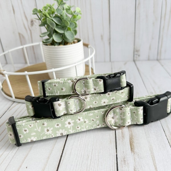 sage green dog collar, green floral dog, heavy duty dog collar, new puppy gift, dog mom gift, gift for dog, quick release matcha dog collar