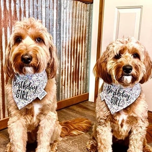 May include: Two golden-brown curly-haired dogs wearing white triangular bandanas featuring a colorful sprinkle pattern and the black script text Birthday Girl. Each bandana has a small white fabric tag attached to the side edge.