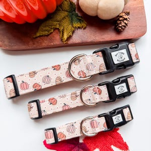 Può includere: Tre collari per animali di varie dimensioni in tessuto rosa chiaro con un motivo ripetuto di zucche arancioni e marroni e piccoli punti. Ogni collare è dotato di una fibbia in plastica nera e di un anello a D in metallo.