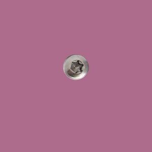 Emerson Models Thumb Disc Screw 1x TORX Screw Replacement Screw Only NO Disc Included Emerson Models Listed image 2