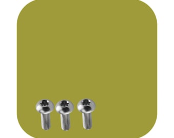 Tenacious, Ehrgeizige Belastbarkeit, Persistence, Pocket Clip Schrauben 3x TITANIUM TORX Schrauben