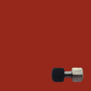 May include: A silver screw with a black plastic cap on one end and a hexagonal nut on the other end.