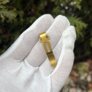 May include: A small, gold-colored metal clip with a rectangular slot and two circular holes. The clip is held in a white gloved hand against a blurred green background.