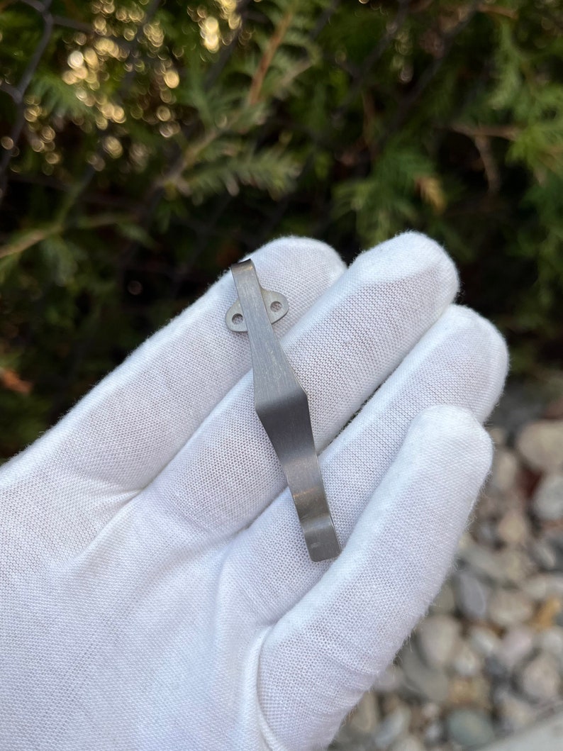May include: A silver metal pocket clip with two small holes. The clip is curved and has a smooth finish.