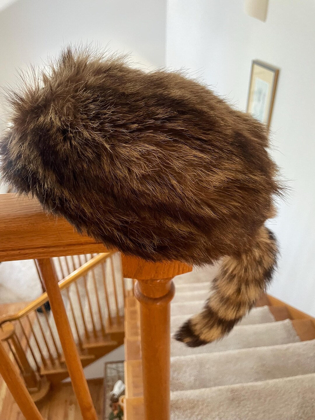Davy Crockett Authentic Raccoon Hat - Etsy