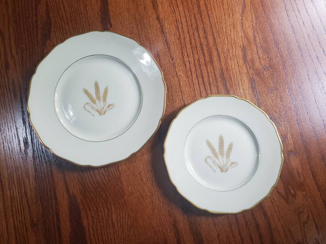 Golden Wheat Royal York China Plates Set of 2 Hohenberg Etsy Australia