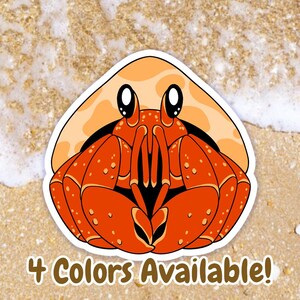 Hermit Crab Sticker, Cute Vinyl Waterproof Sticker, Gift for Hermit Crab Owners