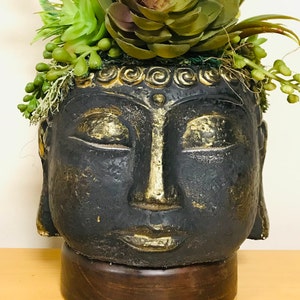 May include: A black and gold Buddha head planter with a wooden base. The planter is decorated with succulents and other greenery.