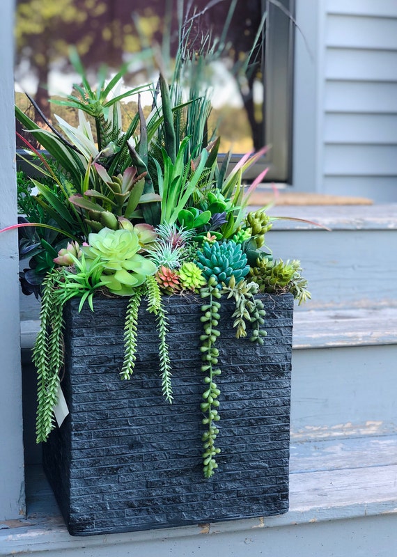 palm plant pot Lowe's Costa Farms Majesty Palm Tree, 10 in main image 1