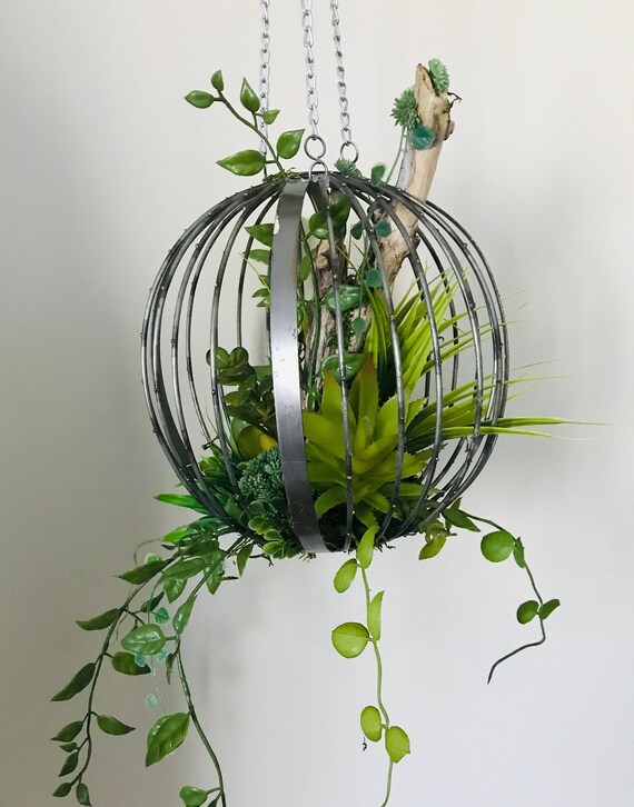 Metal Sphere Hanging Terrarium - Etsy