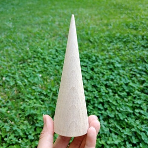 May include: A light-colored, wooden cone with a sharp point. The cone is held in a person's hand against a backdrop of green grass. The cone appears to be about 4 inches tall.