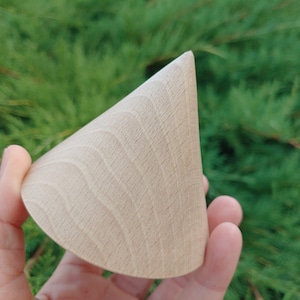 May include: A light-colored, wooden cone-shaped object with a rounded base. The wood grain is visible on the surface. The object is held against a backdrop of green foliage.