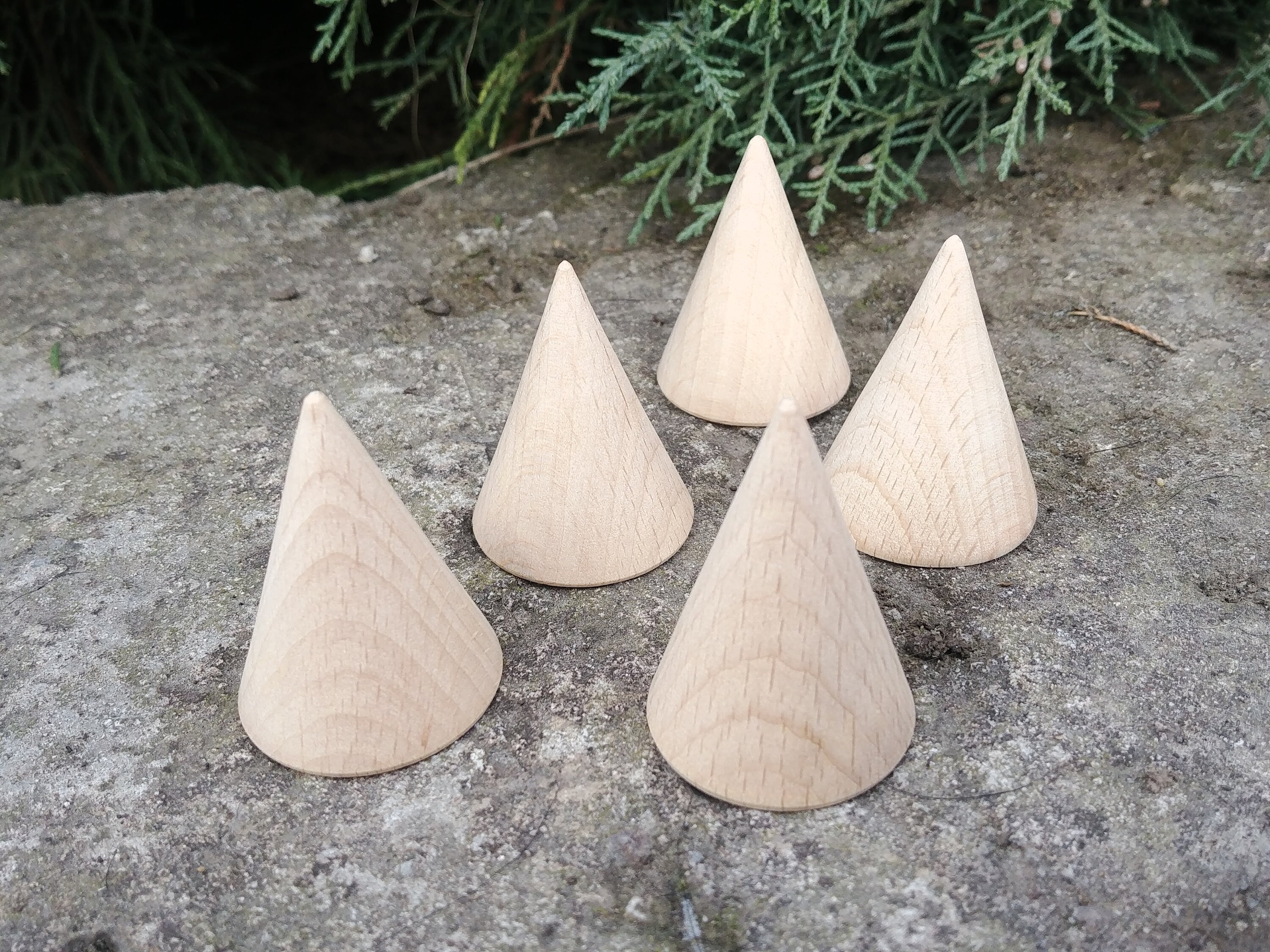 Wooden Cone Medium wood cones Natural Eco friendly Unfinished Etsy