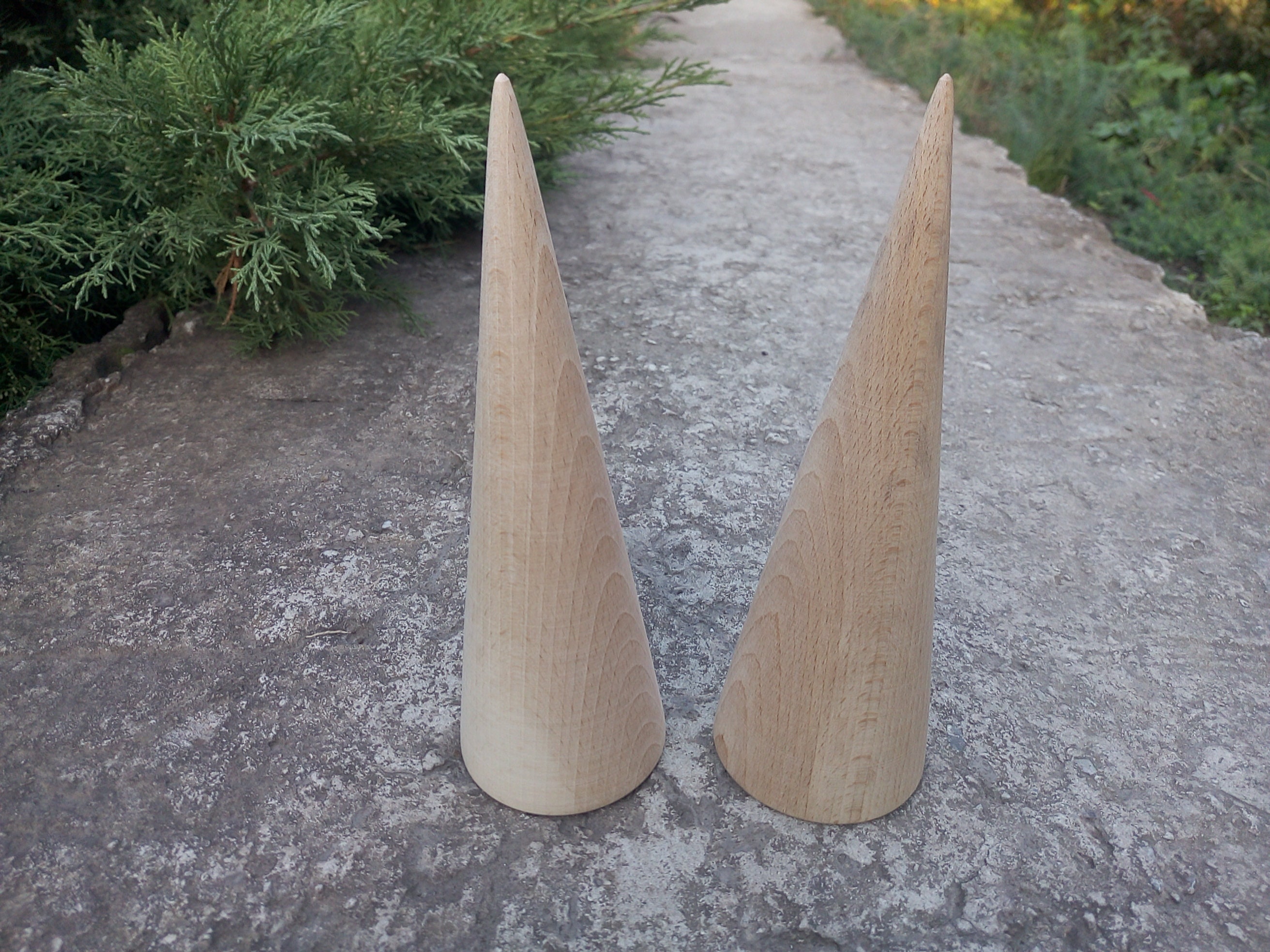 Large Wooden Cone 9 Inch Natural Eco Friendly Wooden Etsy