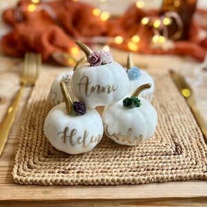 Pumpkin Place Setting, Wedding Place Names, Autumn Wedding, Fall Wedding Table Decorations