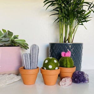 The &#39;no pricks&#39; vegan cactus needle felting kit!