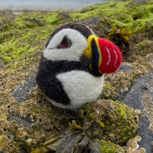 Puffin needle felting kit ( starter kit )