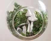 Enchanted Fairy Terrarium, with Mushrooms, Crystals and Green Moss, in Glass Hanging Globe. Nursery Decor, Kids Rooms, Magical Decor 5