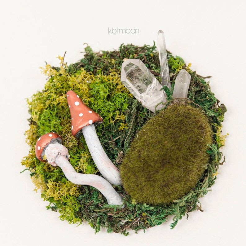 Tiny Moss Garden Moss Wall Art Forest Theme Jungle Theme Miniature Fairy Garden Baby Nursery Art Kids Room Art