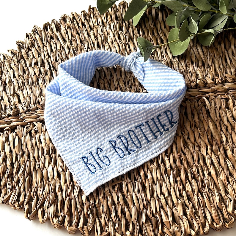 May include: Blue and white striped dog bandana with the embroidered text "BIG BROTHER". The bandana is knotted at the top and is made of a textured fabric. The background is a woven, brown surface.