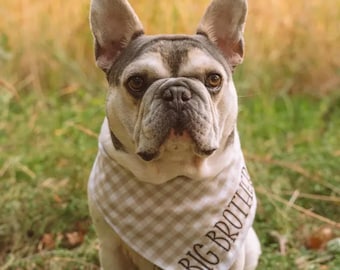 Pregnancy Announcement Dog Bandana: Embroidered Gingham, Big Brother/Sister