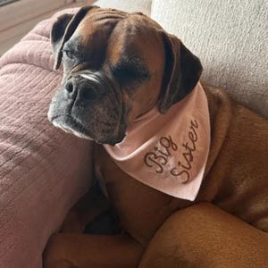 Chain Stitch Personalized Dog Bandana: Big Brother Pregnancy Announcement image 13