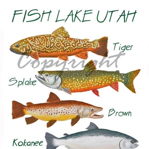 Trout Poster Print, Fish Lake Poster Art, Fishing Art Print, Fishing Art Decor, Fisherman Art Gift, Fish Lake Utah