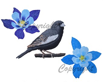 State Birds and Flowers Miniature Mini Plate COLORADO Lark Bunting Columbine