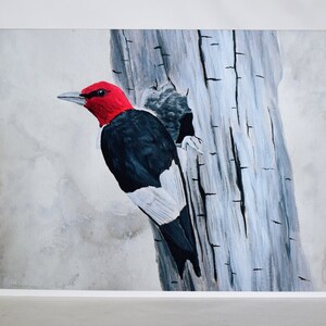 Cartão de felicitações de pica-pau de cabeça vermelha, impressão artística em preto e branco, arte de pássaros pequenos, cartão de felicitações em branco dobrado de 5x7 polegadas com envelope