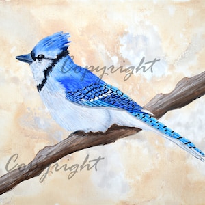 Blue Jay  Art Print, Bird Wall Art Deco, Great Art Gift idea, Semi Abstract, Wildlife and Nature Painting