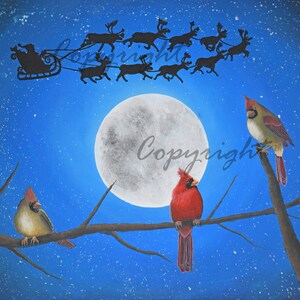 Cardinal Art, Christmas Art, Bird Print, Male Cardinal, Female Cardinal, Santa Art Print, A Cardinal Christmas Professional Art Print